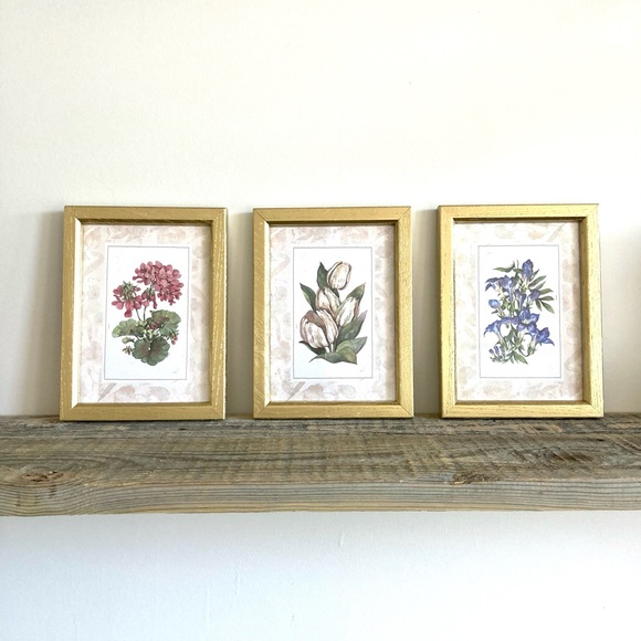 Other - Gold framed floral print set of 3
